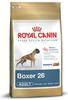 ROYAL CANIN Boxer Adult Hundefutter trocken 12 kg