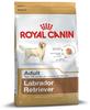 Royal Canin 3152, ROYAL CANIN Labrador Retriever Adult Hundefutter trocken 12kg,