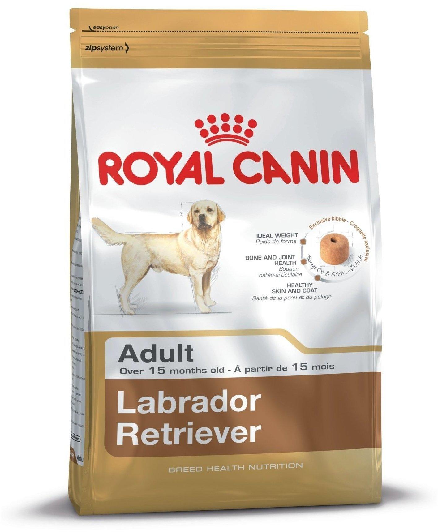 Royal Canin Breed Labrador Retriever Adult Trockenfutter 12kg Test TOP  Angebote ab 55,79 € (September 2023)