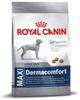 ROYAL CANIN MAXI Dermacomfort Trockenfutter für große Hunde mit empfindlicher...