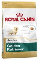 Shn Breed Golden Retriever Jun 12kg