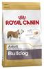 ROYAL CANIN Bulldog Adult Hundefutter trocken 12 kg