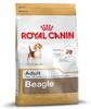 ROYAL CANIN Beagle Adult 12 kg, Grundpreis: &euro; 5,33 / kg