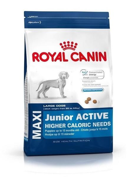Royal Canin Maxi Junior Active (15kg)