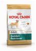 ROYAL CANIN Golden Retriever Adult 3 kg, Grundpreis: &euro; 6,74 / kg