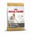 Royal Canin Breed Health Nutrition Yorkshire Terrier Adult Trockenfutter 500g