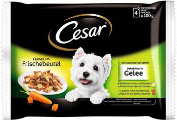 Cesar Hundefutter Test ❤️ Die besten 24 Produkte
