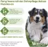 Whimzees Zahnbürste M 360g