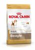 ROYAL CANIN Beagle Adult 3 kg, Grundpreis: &euro; 8,10 / kg
