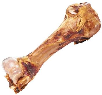 Schecker Dino-Knochen