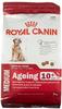 ROYAL CANIN 6633378, Royal Canin Size Medium Ageing 10+ 3kg, Grundpreis: &euro;...