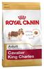 ROYAL CANIN Cavalier King Charles Adult 7,5 kg, Grundpreis: &euro; 6,30 / kg