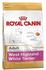 Royal Canin Breed West Highland White Terrier Adult Trockenfutter
