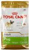 Royal Canin 3363, ROYAL CANIN Pug Adult Hundefutter trocken für Mops 3kg,