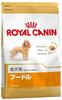 Royal Canin 3853, ROYAL CANIN Poodle Puppy Welpenfutter trocken für Pudel 3kg