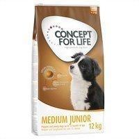 Concept for Life 1,5 kg Concept for Life Medium Junior