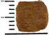 Green Petfood VeggieDog Grainfree Hunde-Trockenfutter