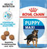 Royal Canin Maxi Puppy 2-15 Monate Hunde-Trockenfutter