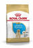 Royal Canin Breed Labrador Retriever Puppy Trockenfutter
