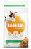 IAMS for Vitality Adult Dog S/M <25kg mit Lamm Trockenfutter 12kg