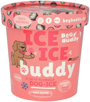BeG Buddy Ice ice buddy DIY Hundeeis Kokos-Erdbeere