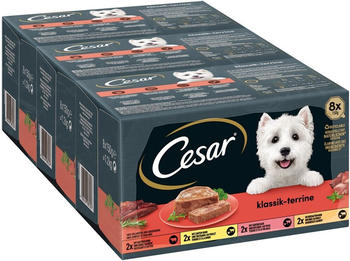 Cesar Multipack Classic Terrine Nassfutter 24x150g