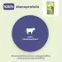 WOW Natural Chews Hund Rinderkopfhaut 350g
