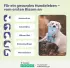 WOW Natural Chews Hund Rinderkopfhaut 350g