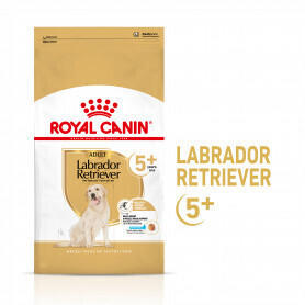 Royal Canin Labrador Retriever Adult 5+ (12 kg)