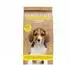 Dog's Love Junior Trockenfutter Huhn mit Süßkartoffel & Karotte