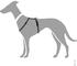 HUNTER Geschirr Tripoli Vario Basic schwarz reflektierend (69213)