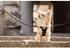 Curli Stretch Comfort Leine 1,8m 10mm moos