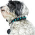 HUNTER Halsband Modica