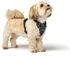 HUNTER Geschirr Divo Up L-XL 2,5cm schwarz