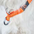 Non-stop dogwear Hundehalsband Cruise Collar
