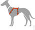 HUNTER Geschirr London Vario Rapid orange XXS/1 1,0cm (69179)