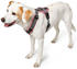 HUNTER Geschirr Maldon altrosa/grau L 2,5cm (69786)