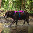 Ruffwear Flagline Hundegeschirr M Alpenglow Pink