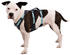 Ruffwear Flagline Hundegeschirr M Basalt Gray