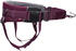 Non-stop dogwear Trekking Belt 2.0