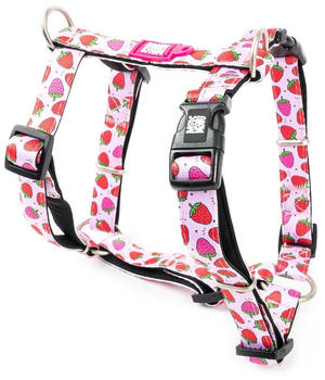 Max & Molly H Geschirr Strawberry Dream XS Hals 24-39cm Brust 32-40cm 1cm (MM221013)