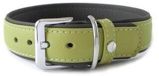 Das Lederband Hundehalsband Amsterdam lime/lava Länge: 30 cm / Breite: 25 mm