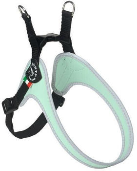 Tre Ponti R250 Easy Fit Palette Pastel mint (R252MN)
