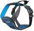 40-50, XS: The Company of Animals CarSafe Crash Tested Dog Car Harness