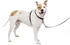Petsafe 3 in 1 harness with 2 points control leash