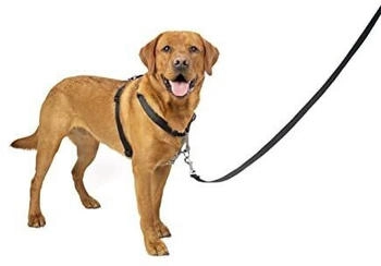 Petsafe 3 in 1 harness with 2 points control leash black L