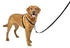 Petsafe 3 in 1 harness with 2 points control leash