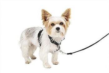 Petsafe 3 in 1 harness with 2 points control leash black XS