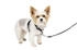 Petsafe 3 in 1 harness with 2 points control leash