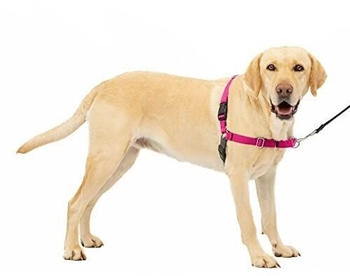 Petsafe Easy Walk Harness raspberry L